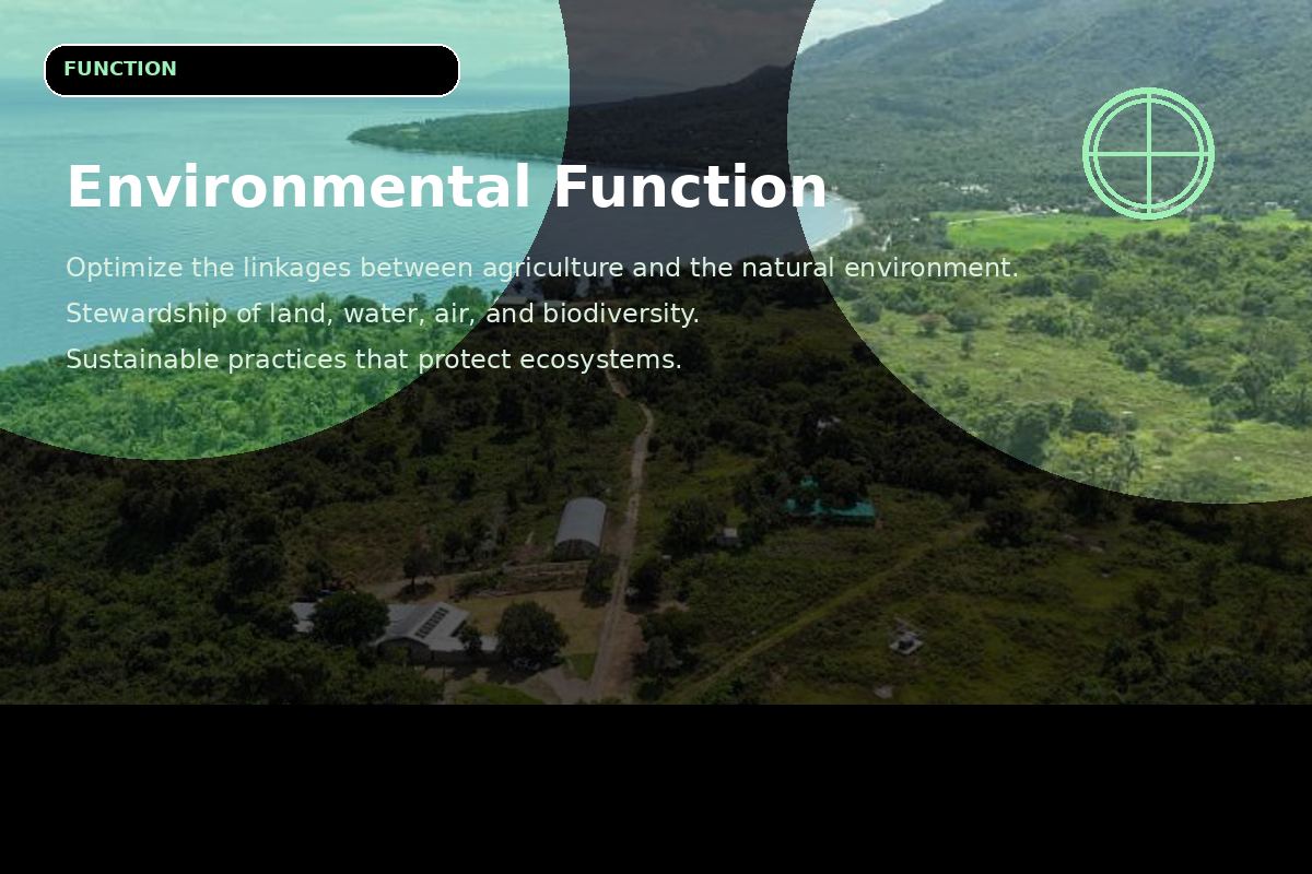 Environmental Function
